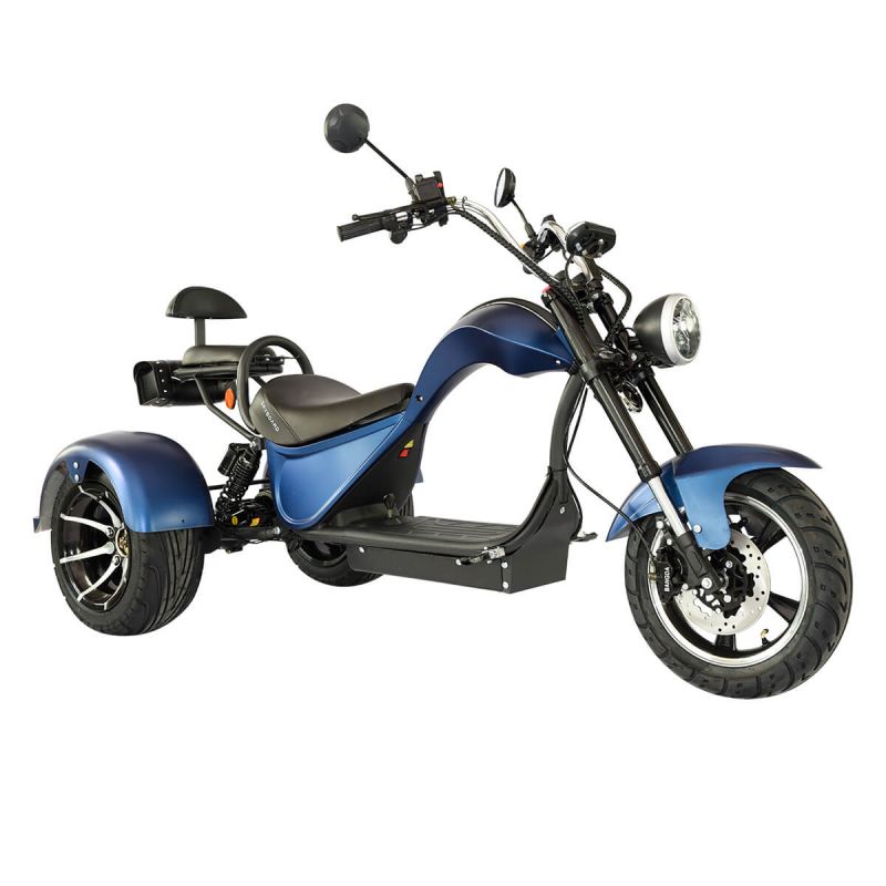Электроскутер CityCoco SkyBoard Trike BR40-2000 PRO Электроскутер CityCoco SkyBoard Trike BR40-2000 PRO